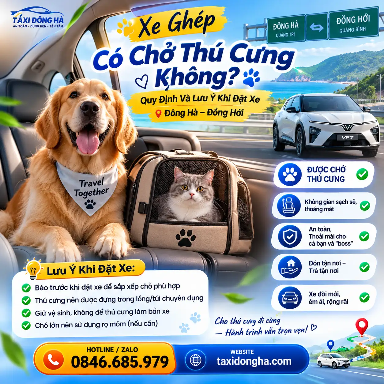 Xe Ghép Có Chở Thú Cưng Không? Quy Định Và Lưu Ý Khi Đặt Xe Đông Hà – Đồng Hới